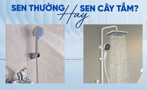 Sen cây hay sen tắm thường? Lựa chọn nào phù hợp cho bạn?