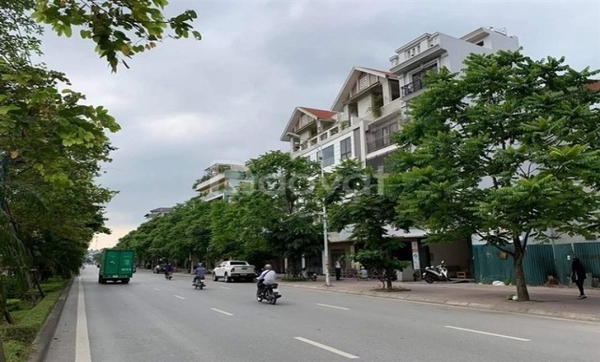 Cần bán nhanh lô đất siêu phẩm mặt Phố Cổ Linh, Long Biên. Kinh doanh sầm uất.