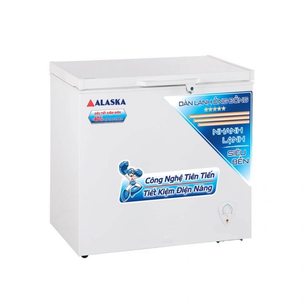 Tủ đông Alaska BD-300C 1 ngăn đông dàn đồng