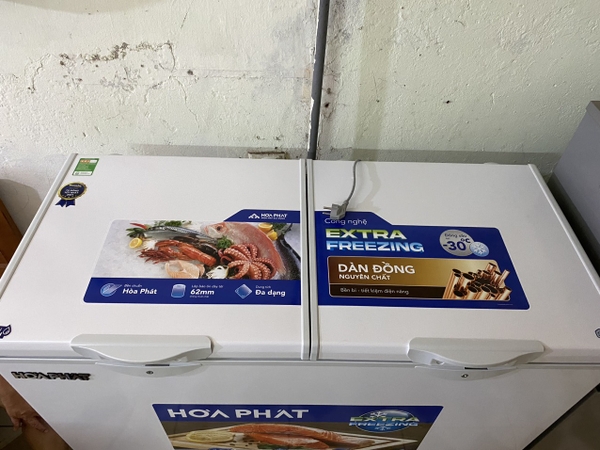 Tủ đông Hòa Phát HPF BD6295 295 lít