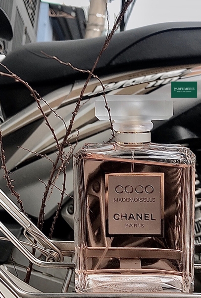 Chanel Coco Mademoiselle mùi hương bí ẩn, đầy cuốn hút mê hoặc dành cho các nàng.