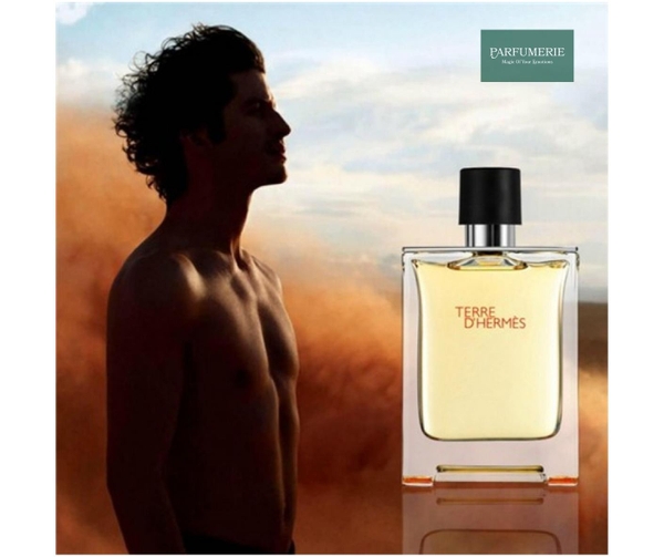 Mọi tầng hương của dòng nước hoa Hermes Terre D’Hermes đều toát lên sự quyền lực dành cho phái mạnh