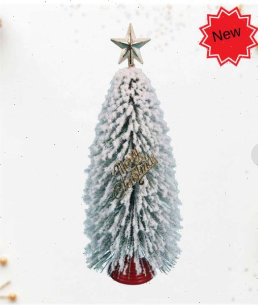 Cây Thông Mini Chang Chiia