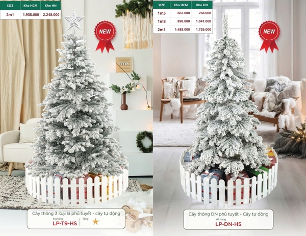 Cây Thông DN phủ tuyết