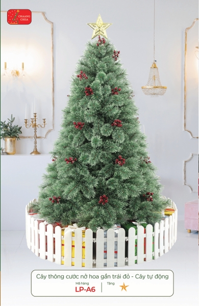 Cây thông cước nở hoa gắn trái đỏ - cây tự động 150 cm - mã LP-A6-5 | Xưởng Decor