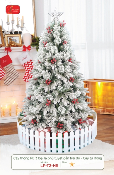 Cây thông PE 3 loại lá phủ tuyết gắn trái đỏ - cây tự động 150 cm - mã LP-T2-HS-5 | Xưởng Decor