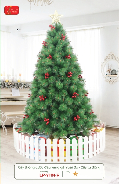 Cây thông cước đầu vàng gắn trái đỏ - cây tự động 150 cm - mã LP-YHN-5R | Xưởng Decor