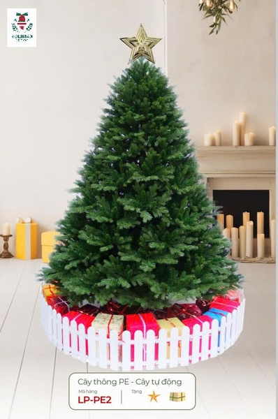 CÂY THÔNG PE - CÂY TỰ ĐỘNG