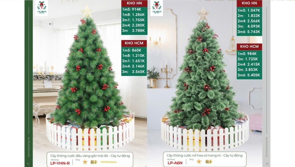 Cây thông cước đầu vàng gắn trái đỏ - Cây tự động