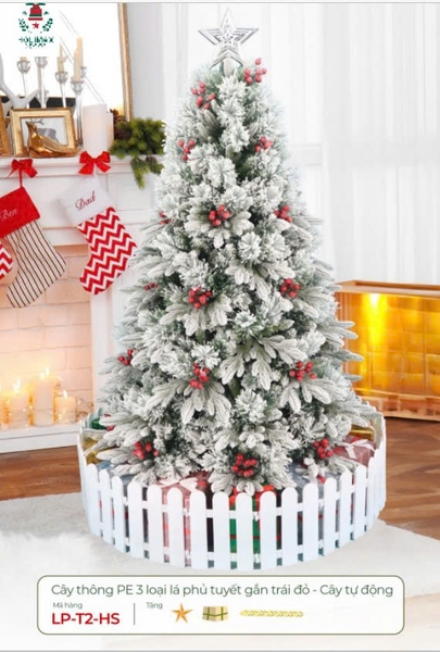 CÂY THÔNG PE 3 LOẠI LÁ PHỦ TUYẾT GẮN TRÁI ĐỎ  - CÂY TỰ ĐỘNG