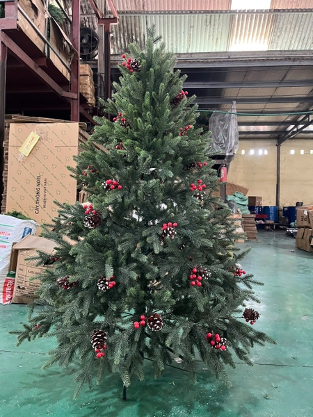 Cây Thông  VIỆT HÀN - CÂY THÔNG 100% PE -  GẮN QUẢ ĐỎ