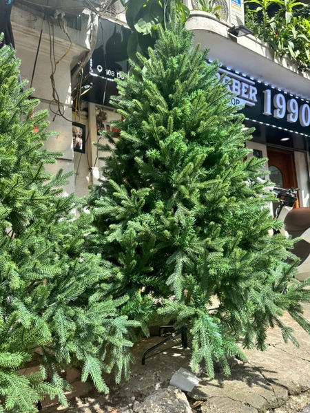 Cây Thông VIỆT HÀN - CÂY THÔNG PE - PVC 2 LOẠI LÁ