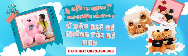 XƯỞNG SỈ GẤU BÔNG