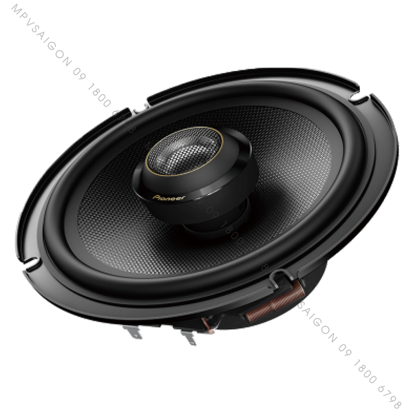 Pioneer - Loa cửa sau TS-Z65F