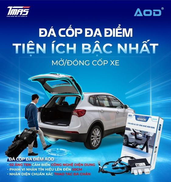 CẢM BIẾN ĐÁ CỐP GIÁ TỐT NHẤT