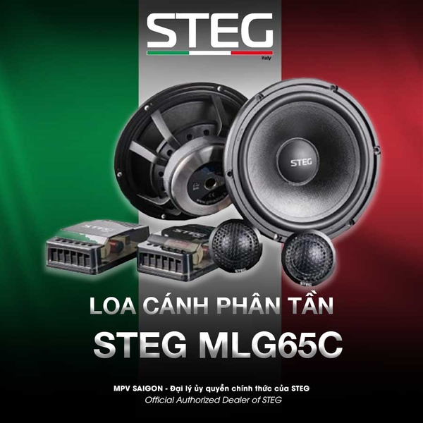 Loa cánh phân tần Steg MLG65C