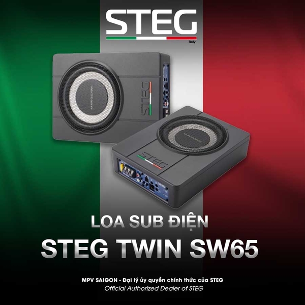 Loa sub điện STEG TWIN SW65