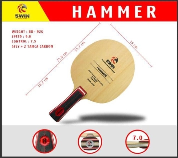 Cốt Swin Hammer