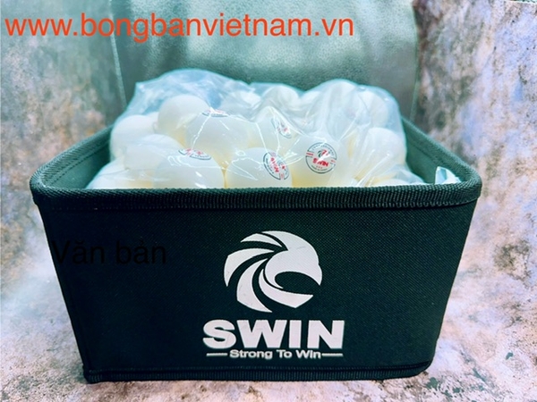 Bóng Tập Swin