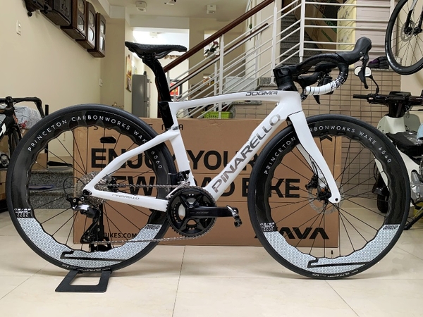 Xe đạp đua PINA DOGMA F (F14) - Khung, vành Full Carbon, Full group Shimano 105 R7120 thắng đĩa dầu. Màu Trắng/chữ bạc