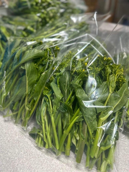 Cải Ngồng