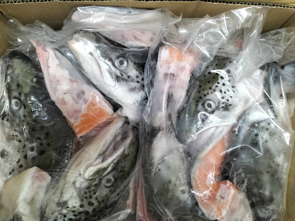 Đầu Cá Hồi ( bịch 3 cái )