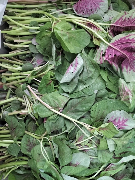 Rau Dền ( Kg )