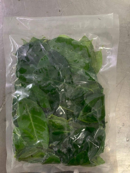 Lá chanh 冷凍バイマックル KAFFIR LIME LEAF 100gr