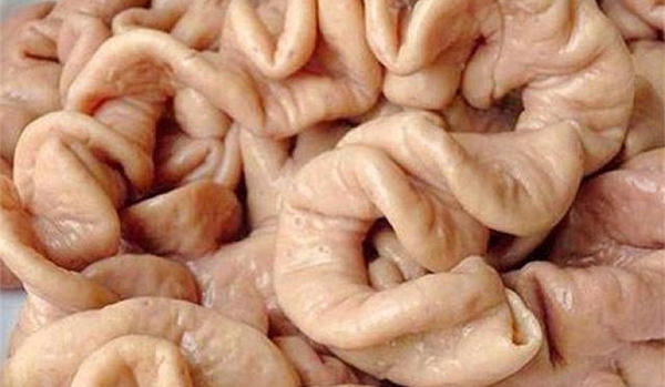 Lòng già ―豚丸腸