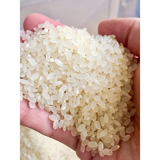 Gạo Nhật (10kg)