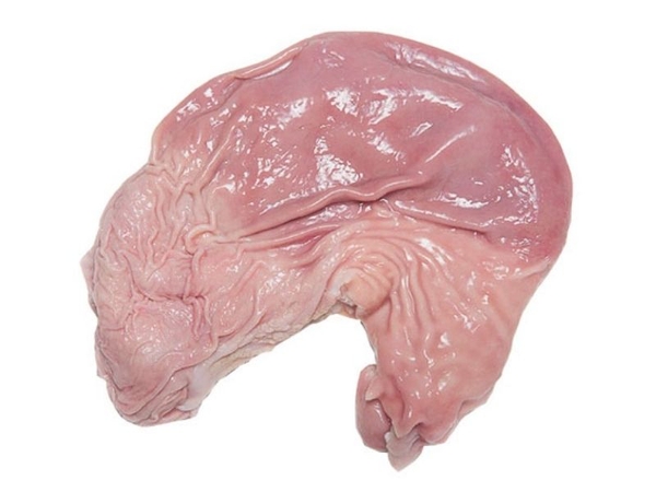 Dạ dầy (bao tử豚生胃袋)