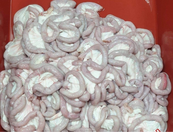 LÒNG NON KÉP DÙNG CHO QUÁN ĂN (CẤM BÁN)