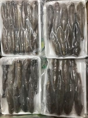 Cá bống cát ( khay 500gr)