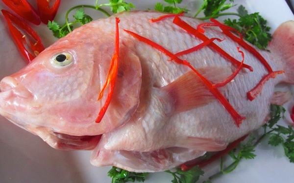 Cá Diêu Hồng冷凍レッドテイラピア (kg)