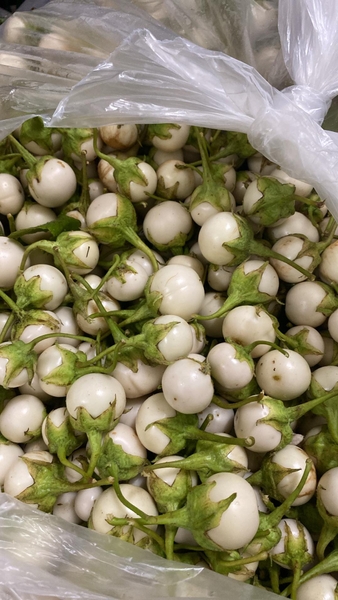 CÀ PHÁO TRẮNG  tươi( kg )