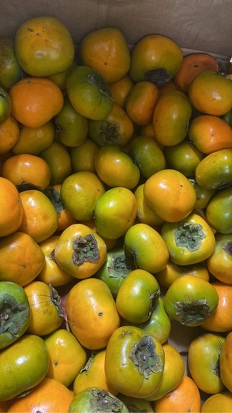 QUẢ HỒNG