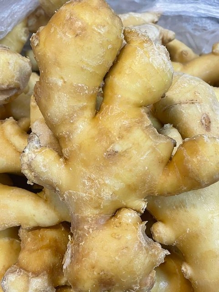 Củ Gừng
