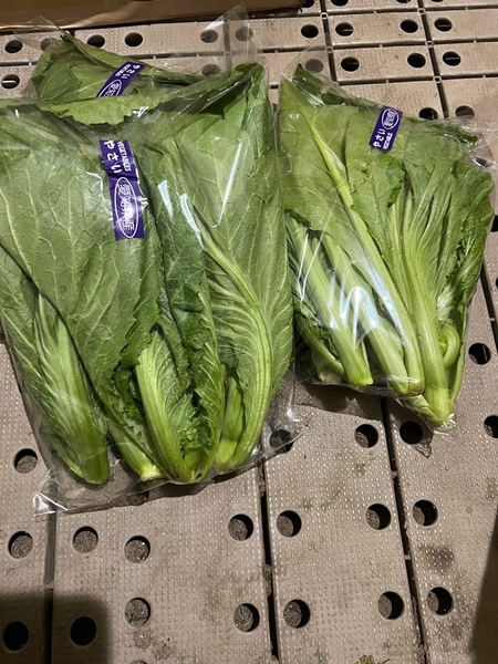 Bánh bông lan phú sĩ sầu riêng