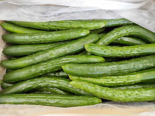 Quả Dưa chuột ( kg )