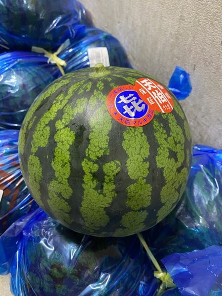 Dưa hấu (quả )
