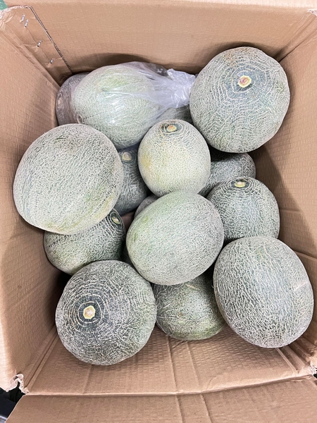 Quả Dưa Meron メロン ( quả )