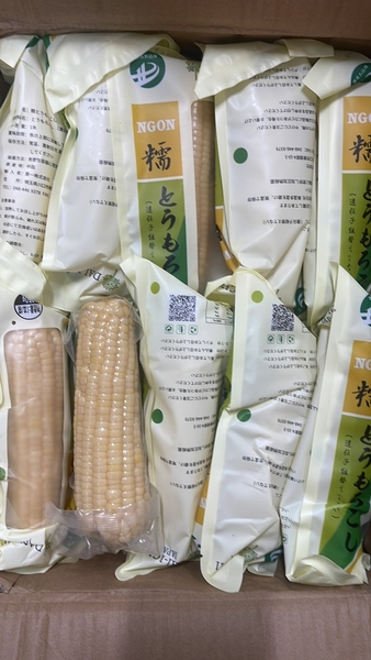 Bắp nếp trắng (bảo quản nhiệt độ thường)とうもろこし