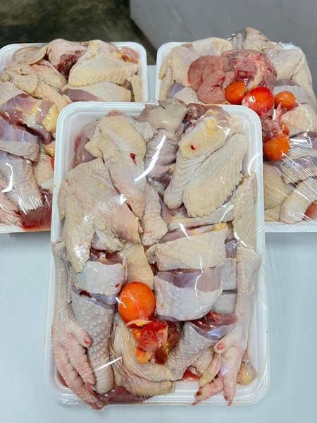 Gà chạy bộ chặt sẵn 親鶏カット ( con )