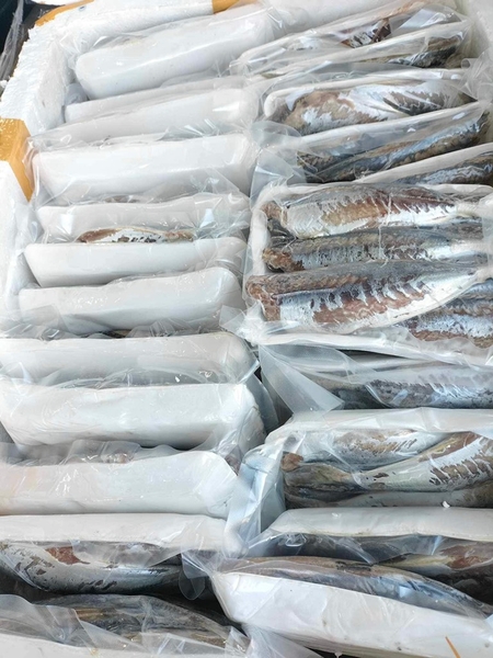 Khô cá nục Size nhỏ ( 11-12 con/ 500gr)