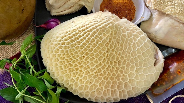 Tổ ong Bò ハチノス (牛)