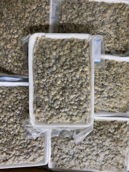 Hến đông lạnh ( Next) ( 300gr)
