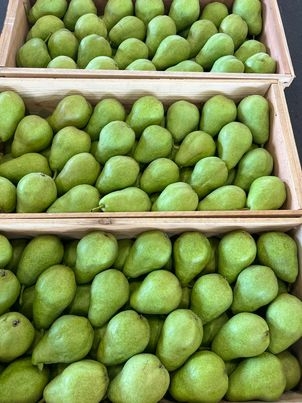 Lê Ổi VIP ( 3-5 quả / kg )