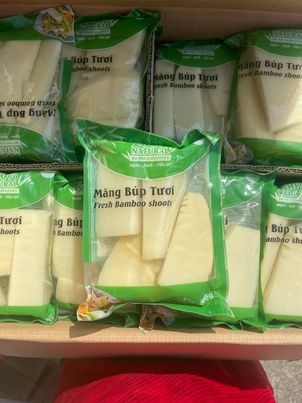 Măng búp tươi タケノ水煮 ( 400gr )