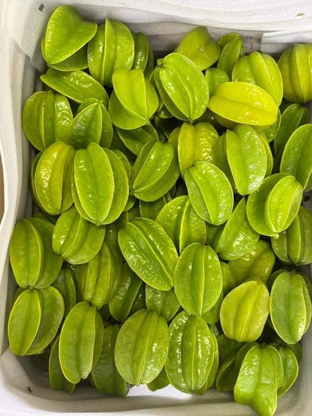 quả khế