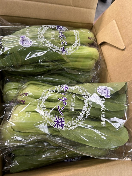 Rau cải chíp  ( bó )